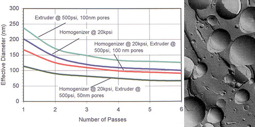 Liposome size comparison after extrusion